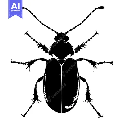 Black and White Silhouette of a Beetle with Spiky Legs