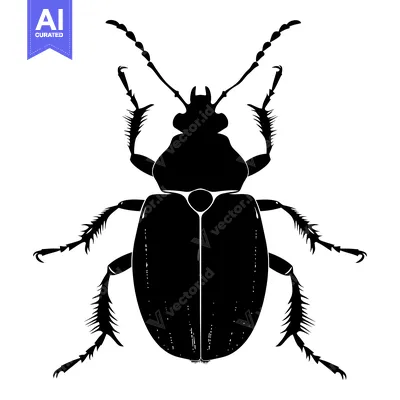 Aset premium populer: Black and White Silhouette of a Beetle with Spiked Legs