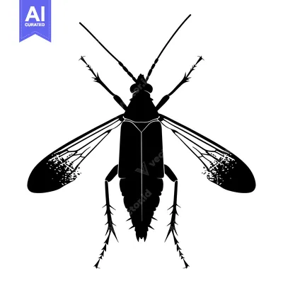 Black and white silhouette of a winged insect with long legs