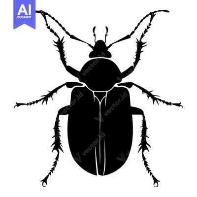 Aset premium populer: Black and White Silhouette of a Spiky Beetle