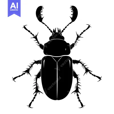 Popular premium asset: Black and White Silhouette of a Spiky Beetle with Large Pronotum