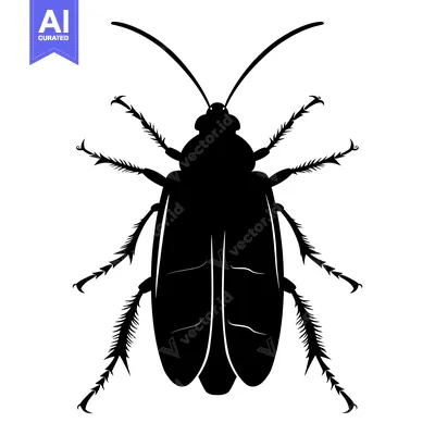 Popular premium asset: Black Silhouette of a Beetle with Spiky Legs