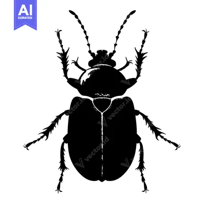 Premium design asset: Black and White Silhouette of a Beetle