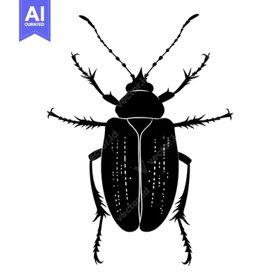 Aset desain premium: Black and White Silhouette of a Beetle