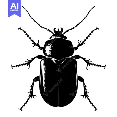 Black and White Silhouette of a Beetle with Spiky Legs