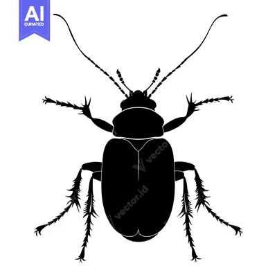 Premium design asset: Black Silhouette of a Beetle with Spiky Legs