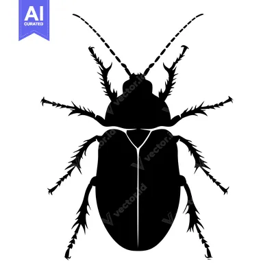 Aset premium populer: Black and White Silhouette of a Spiny Beetle