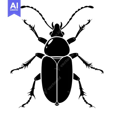 Black silhouette of a beetle with spiky legs