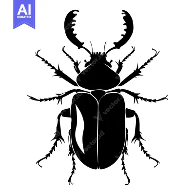 Black and White Silhouette of a Beetle