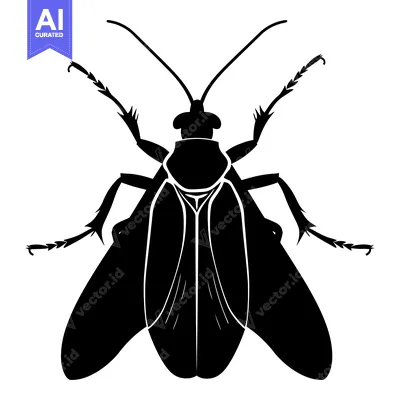 Black and White Silhouette of a Fly with Wings Spread
