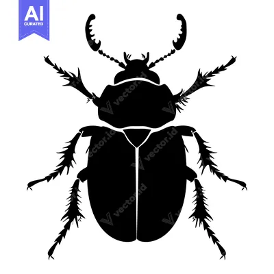 Black and White Silhouette of a Beetle with Spiked Legs
