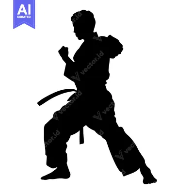 Silhouette of a Martial Artist in a Fighting Stance