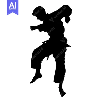 Silhouette of a Martial Arts Practitioner in Mid-Kick