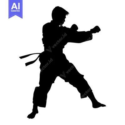 Aset premium populer: Silhouette of a Person Performing a Martial Arts Move