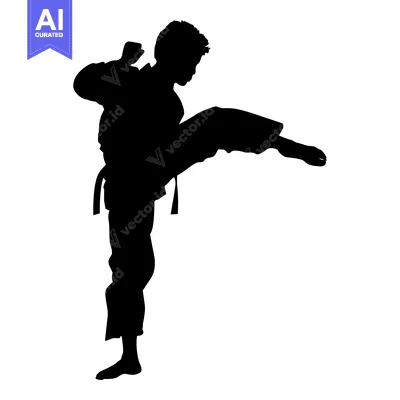 Silhouette of a martial artist performing a high kick