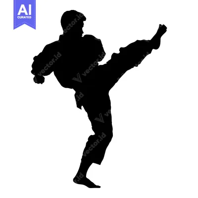 Aset premium populer: Silhouette of a Man Performing a High Kick in a Martial Arts Pose