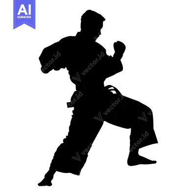 Aset premium populer: Silhouette of a karate practitioner in a fighting stance