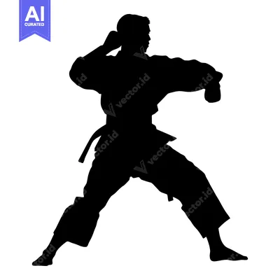 Silhouette of a Man Performing a Martial Arts Technique