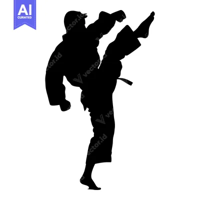 Silhouette of a martial artist performing a high kick