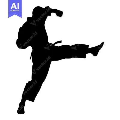 Silhouette of a Martial Artist Executing a High Kick