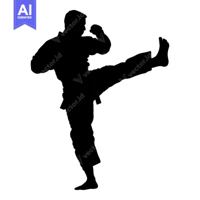 Popular premium asset: Silhouette of a Man Performing a Martial Arts Kick