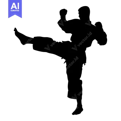 Silhouette of a Male Martial Artist Executing a High Kick