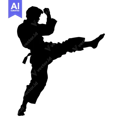Silhouette of a Martial Artist Performing a High Kick