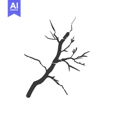 Aset premium populer: Silhouette of a bare tree branch with multiple offshoots