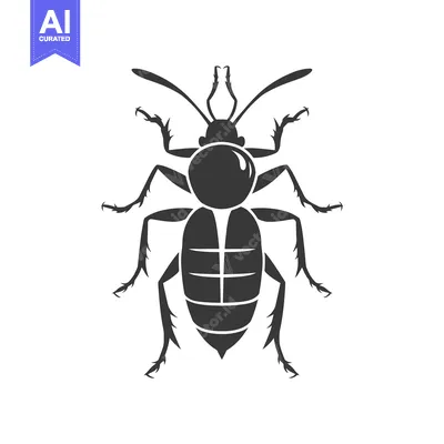 Silhouette of a beetle with segmented body and spindly legs