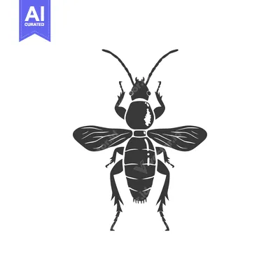 Silhouette of a beetle with wings outstretched