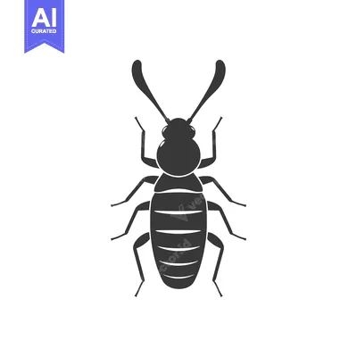 Silhouette of a Black Beetle with Antennae
