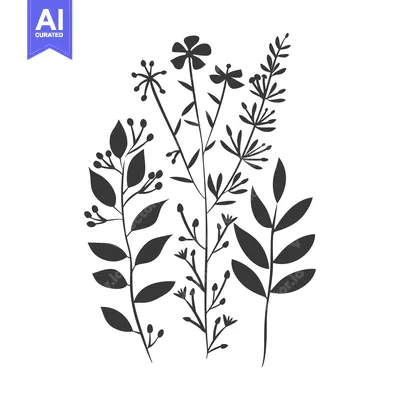 Silhouette of a Collection of Floral Stems with Buds and Leaves