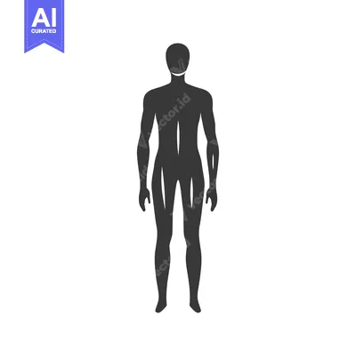 Silhouette of a Human Figure with Defined Muscles