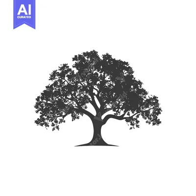Silhouette of a Large Tree with Spreading Branches