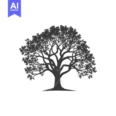 Aset premium populer: Silhouette of a Large Tree with Spreading Branches