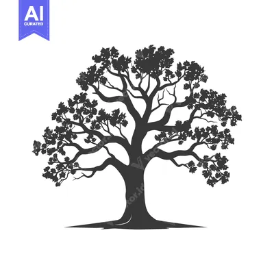 Aset premium populer: Silhouette of a large tree with spreading branches and leaves