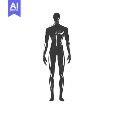 Silhouette of a Man Standing with Arms at His Sides