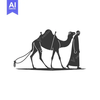 Silhouette of a Man Walking with a Camel