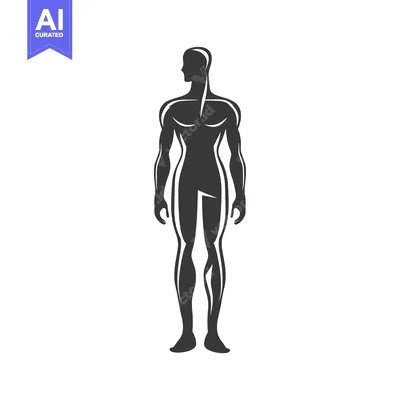 Premium design asset: Silhouette of a Muscular Male Figure
