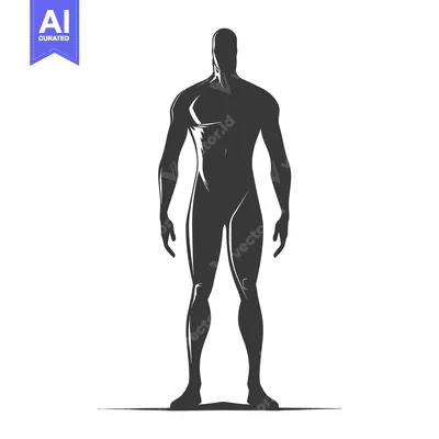 Silhouette of a Muscular Man Standing Tall