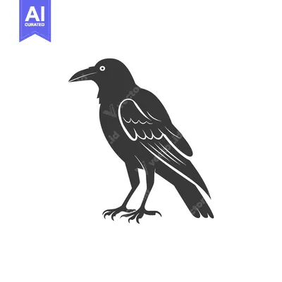 Silhouette of a Raven Standing on White Background