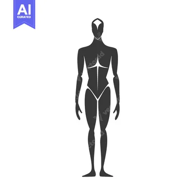 Silhouette of a Standing Human Figure