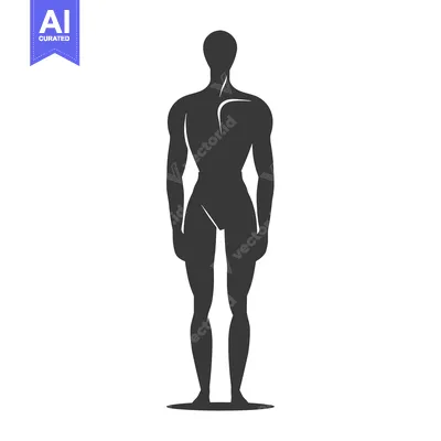 Premium design asset: Silhouette of a Standing Human Figure