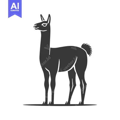 Silhouette of a Standing Llama