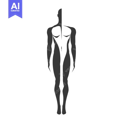Aset premium populer: Silhouette of a Standing Male Figure with a Divided Torso